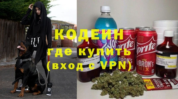 стаф Нея