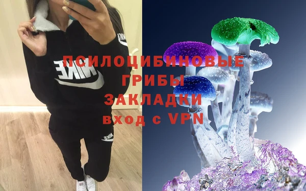 стаф Нея