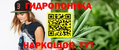 spice Гусев