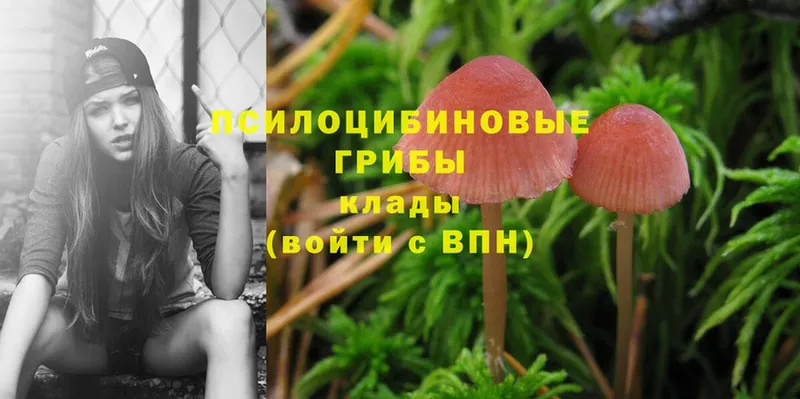 купить наркотики сайты  Нефтекамск  Псилоцибиновые грибы Magic Shrooms 