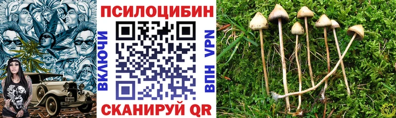 Галлюциногенные грибы Cubensis  Нефтекамск 