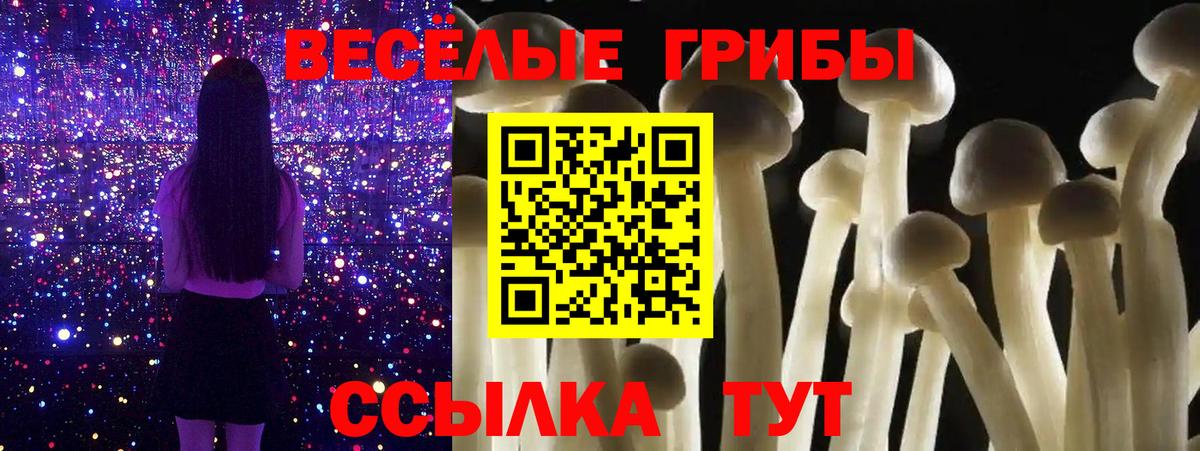 Псилоцибиновые грибы GOLDEN TEACHER  Вход с VPN  где купить наркоту  Нефтекамск  Псилоцибиновые грибы Magic Shrooms 